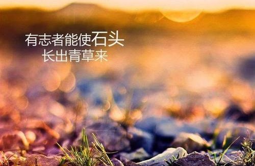 做微商賺不到錢？你是不是犯了這個錯誤(圖1)